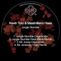 Artwork for Jungle Stumble by Kevin Toro