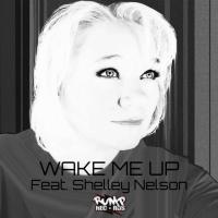 Artwork for Wake Me up feat. Shelley Nelson by Various Artists