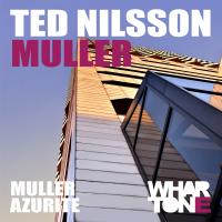 Artwork for Muller EP by Ted Nilsson