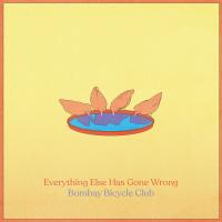 Artwork for Everything Else Has Gone Wrong by Bombay Bicycle Club