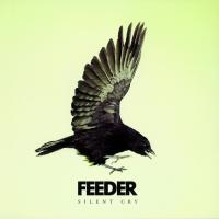 Artwork for Silent Cry by Feeder