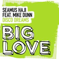 Artwork for Disco Dreams by Seamus Haji