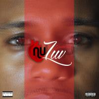 Artwork for Nu Luv by Goaldin Tone