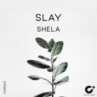 Artwork for Shela by Slay