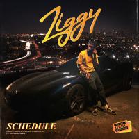 Artwork for SCHEDULE by ZIGGY