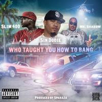 Artwork for Who Taught You How to Bang by Slim 400