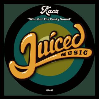 Artwork for Who Got The Funky Sound (Original Mix)