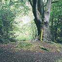 Artwork for Motion Sickness