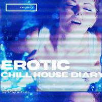 Artwork for Erotic Chill House Diary (Episode 01) by Various Artists