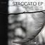 Artwork for Staccato (Primarie Remix)