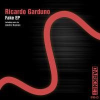 Artwork for Fake EP by Ricardo Garduno