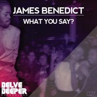 Artwork for What You Say? by James Benedict