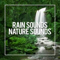 Artwork for Rain Sounds & Nature Sounds by Rain Sounds