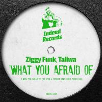 Artwork for What You Afraid Of by Ziggy Funk