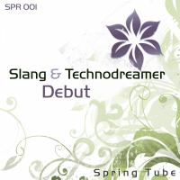 Artwork for Debut by SLANG