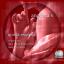 Artwork for Quinta Essentia (Original Mix)