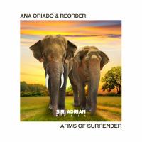 Artwork for Arms Of Surrender by Ana Criado