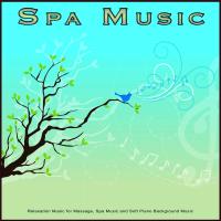 Artwork for Spa Music: Relaxation Music for Massage, Spa Music and Soft Piano Background Music by Spa Playlist