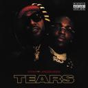 Artwork for Tears
