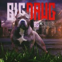 Artwork for Big Dawg by RG