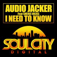 Artwork for I Need To Know by Audio Jacker