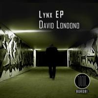 Artwork for Lynx EP by David Londono