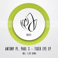 Artwork for Tiger Eye EP by Antony Pl