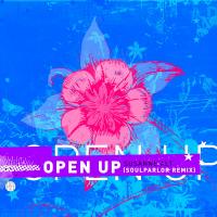 Artwork for Open Up (SoulParlor Remix) by Susanne Alt