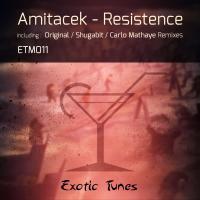 Artwork for Resistence by Amitacek