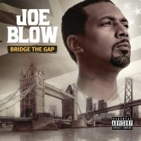 Artwork for Bridge The Gap by Joe Blow