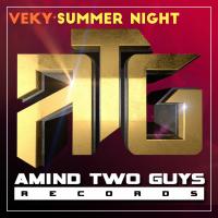 Artwork for Summer Night (Chillout Mix) by VEKY