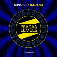 Artwork for Maraca by R3sizzer