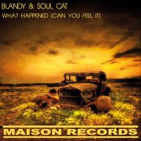 Artwork for What Happened (Can You Feel It ) by Blandy