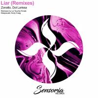 Artwork for Liar Remixes by Zonatto