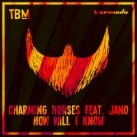 Artwork for How Will I Know by Charming Horses