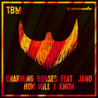 Artwork for How Will I Know