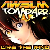 Artwork for Like The Wind by Tom Parr