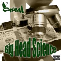 Artwork for Big Head Science by Casual