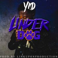 Artwork for Underdog by Yid