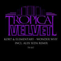 Artwork for Wonder Why by KORT