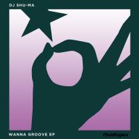 Artwork for Wanna Groove by DJ Shu-ma