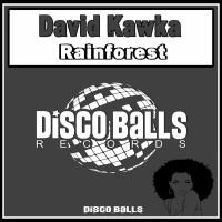 Artwork for Rainforest by David Kawka