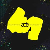 Artwork for Ade 2019 VA Truelife Recordings by Various Artist