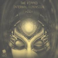 Artwork for Internal Dimension by The Ripped