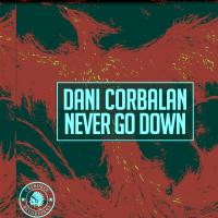 Artwork for Never Go Down by Dani Corbalan