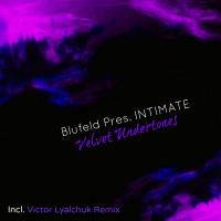 Artwork for Velvet Undertones by Blufeld