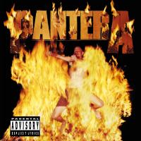 Artwork for Reinventing the Steel by Pantera