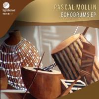 Artwork for Echodrums EP by Pascal Mollin