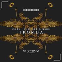 Artwork for Tromba by Corx