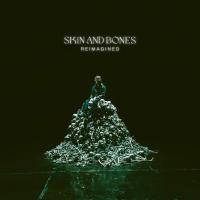 Artwork for Skin and Bones by David Kushner